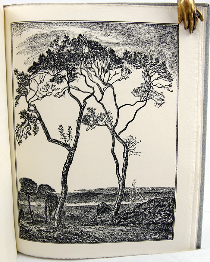 The Elf: a Sequence of the Seasons. Illustration