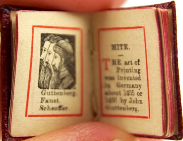 Mite. Illustrated text spread