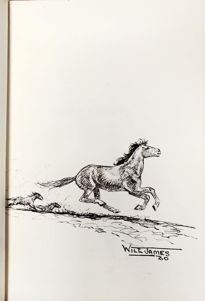 Will James, Lone Cowboy. My Life Story, 1930