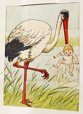 Scenes of Animal Life by Lothar Meggendorfer. Illustration