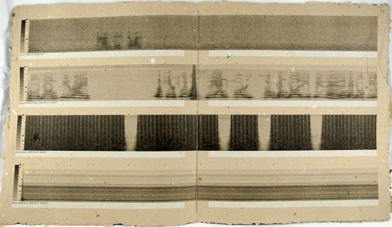 Rotting Sounds. Sound illustration