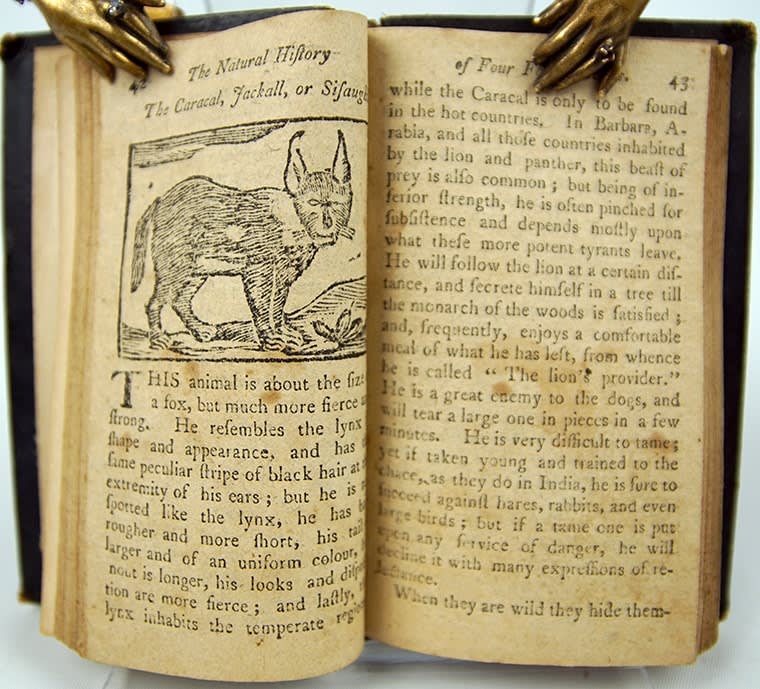 The Natural History of Four Footed Beasts by Tommy Trip. Text spread