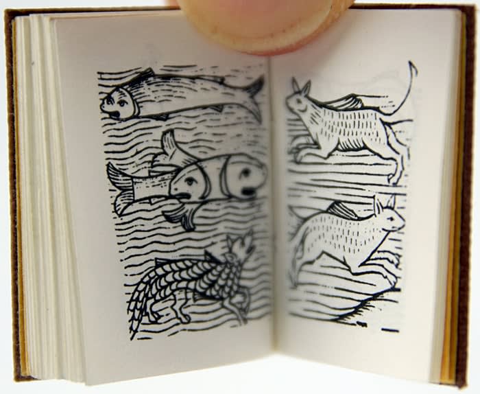 Strange Fish. Illustrated spread