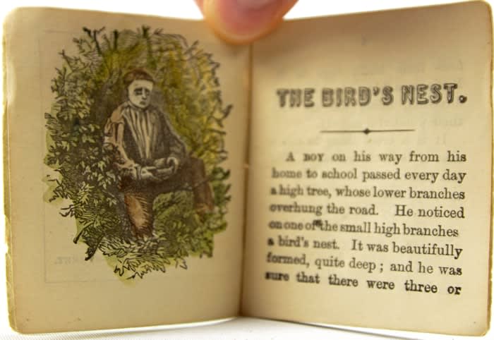 The Bird's Nest and Its Lessons. Interior page with color illustration.