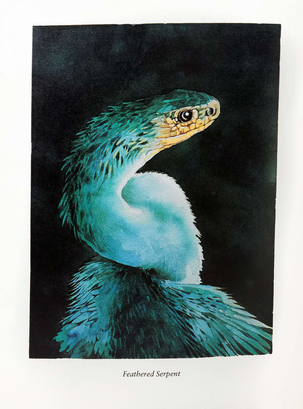 In the Beginning. Creation Stories from Around the World. Illustration