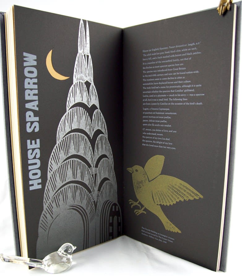 Birds of Manhattan. Illustrated text spread