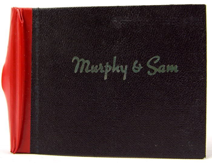 The Marriage of Murphy & Sam by Dick Fleming. Front cover board.