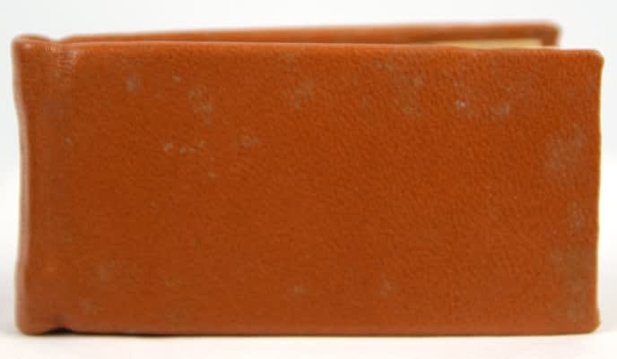 The Dwarf. A Short History of a Short Man by Peter and Donna Thomas. Front cover board.