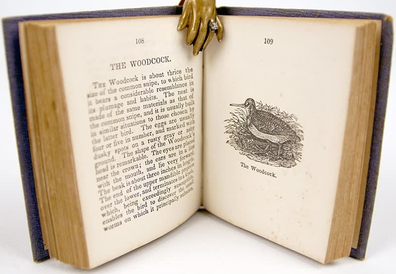 The Birds of America miniature book. Illustration and text spread