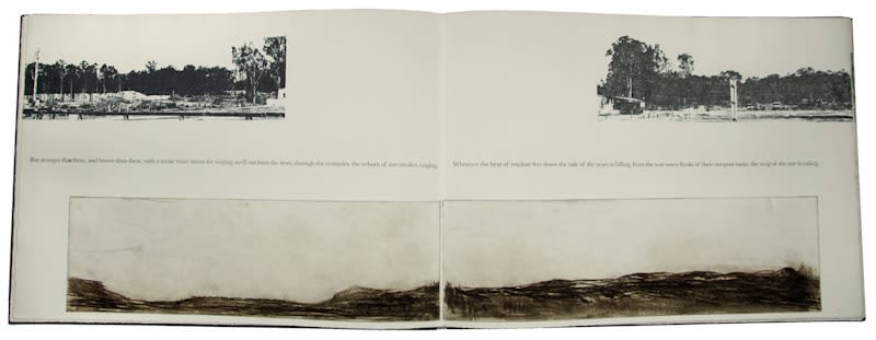 Marie E. J. Pitt; Monica Oppen (illus.), Do Not Lament, 2018