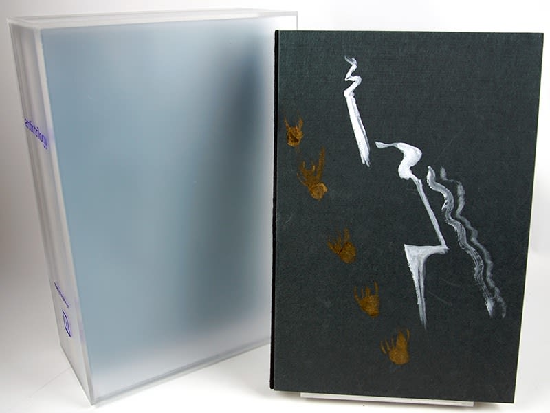 Arctic Trilogy by Mary Heebner. Acrylic slipcase and dark grey volume.