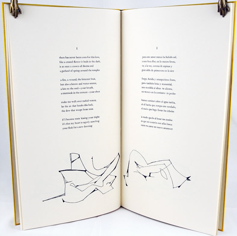 De Amor Oscuro / Of Dark Love by Francisco X. Alarcón and illustrated by Ray Rice. Text spread