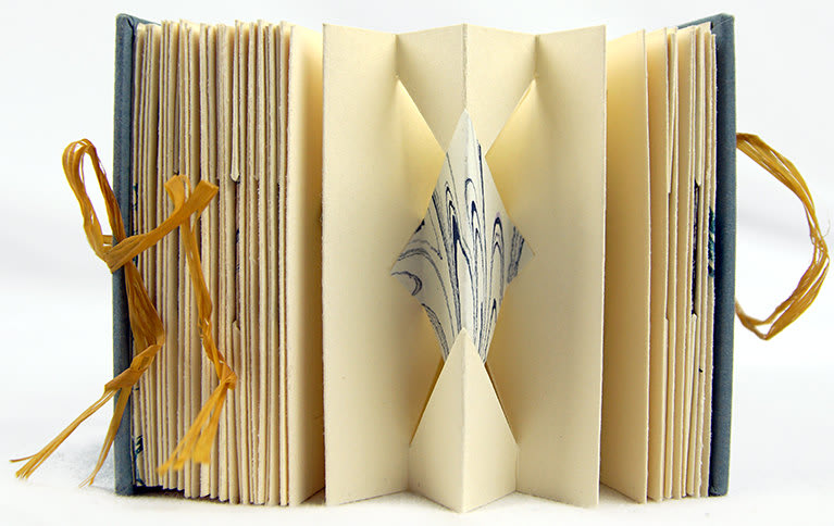 Haiku Hypothesis. Pop-up element