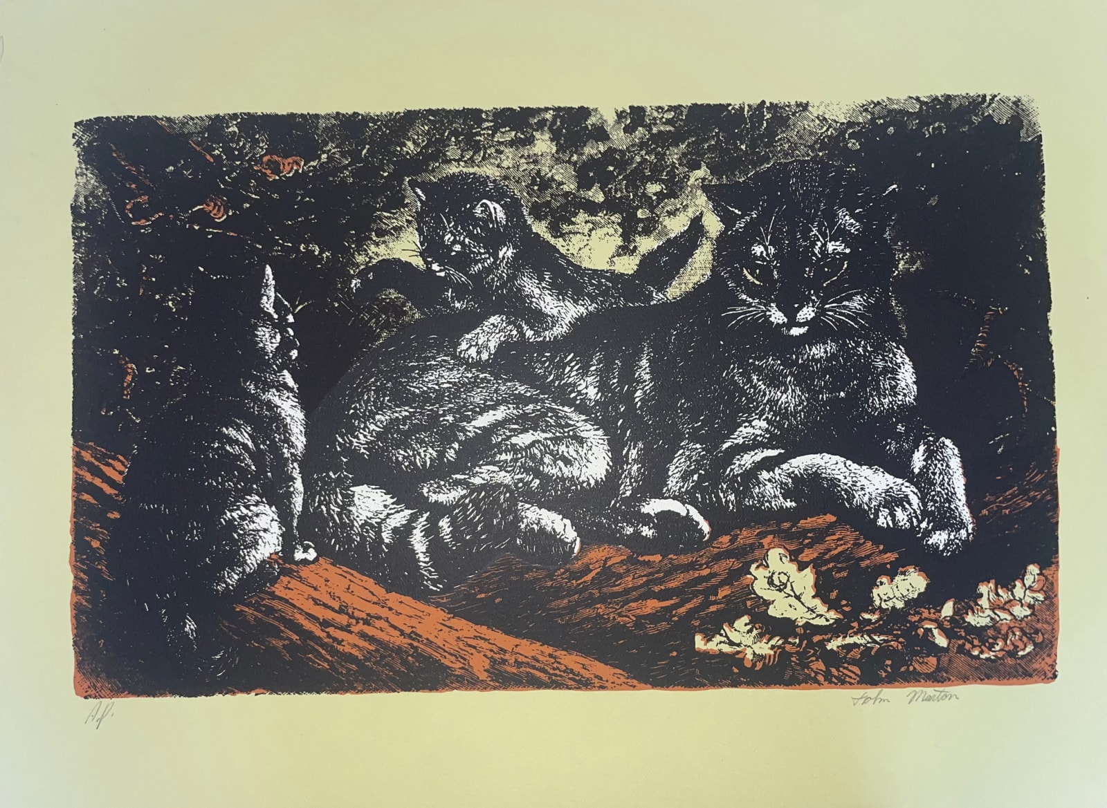 John Marton, Cat family, 1960's
