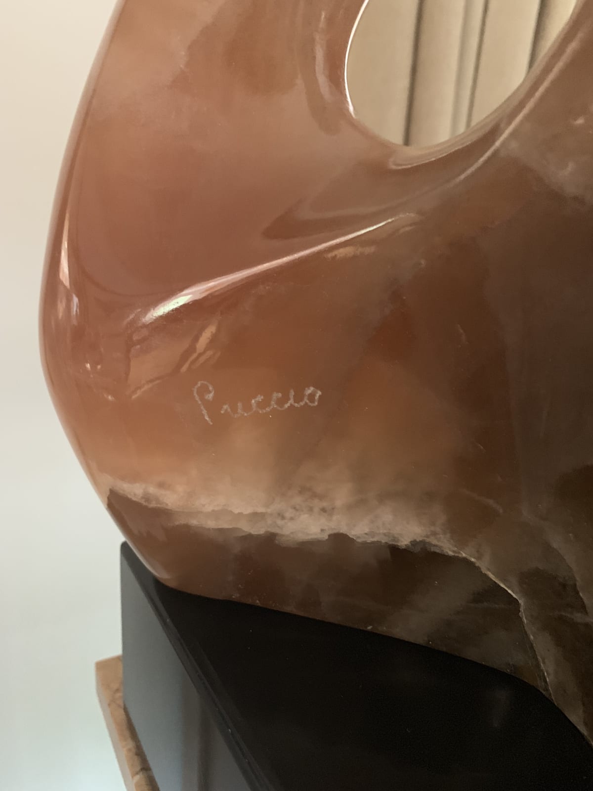 Paul Puccio, La Donna, 1984