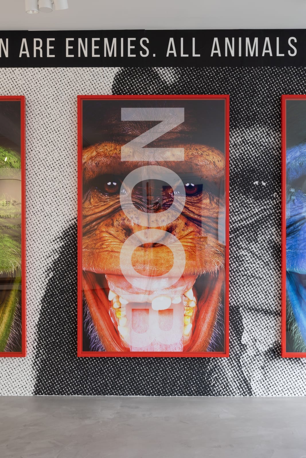 Rulton Fyder, UNTITLED (NOOB APE), 2021