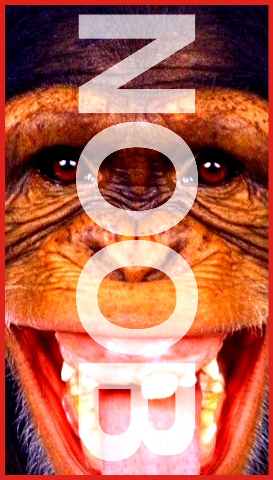 Rulton Fyder, UNTITLED (NOOB APE), 2021