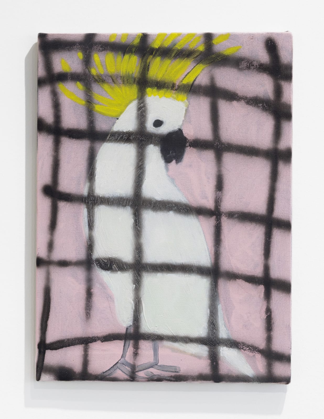 Gabrielle Graessle, n.t. 2024, acrylic and spray on canvas