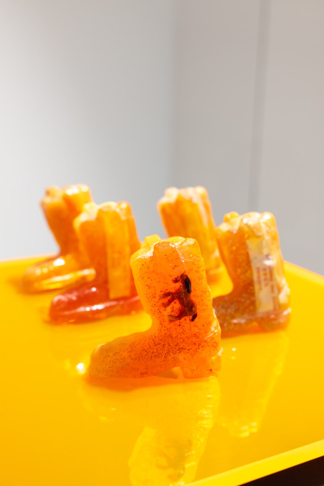 stephanie mei huang, neither donkey nor horse ii, 2020