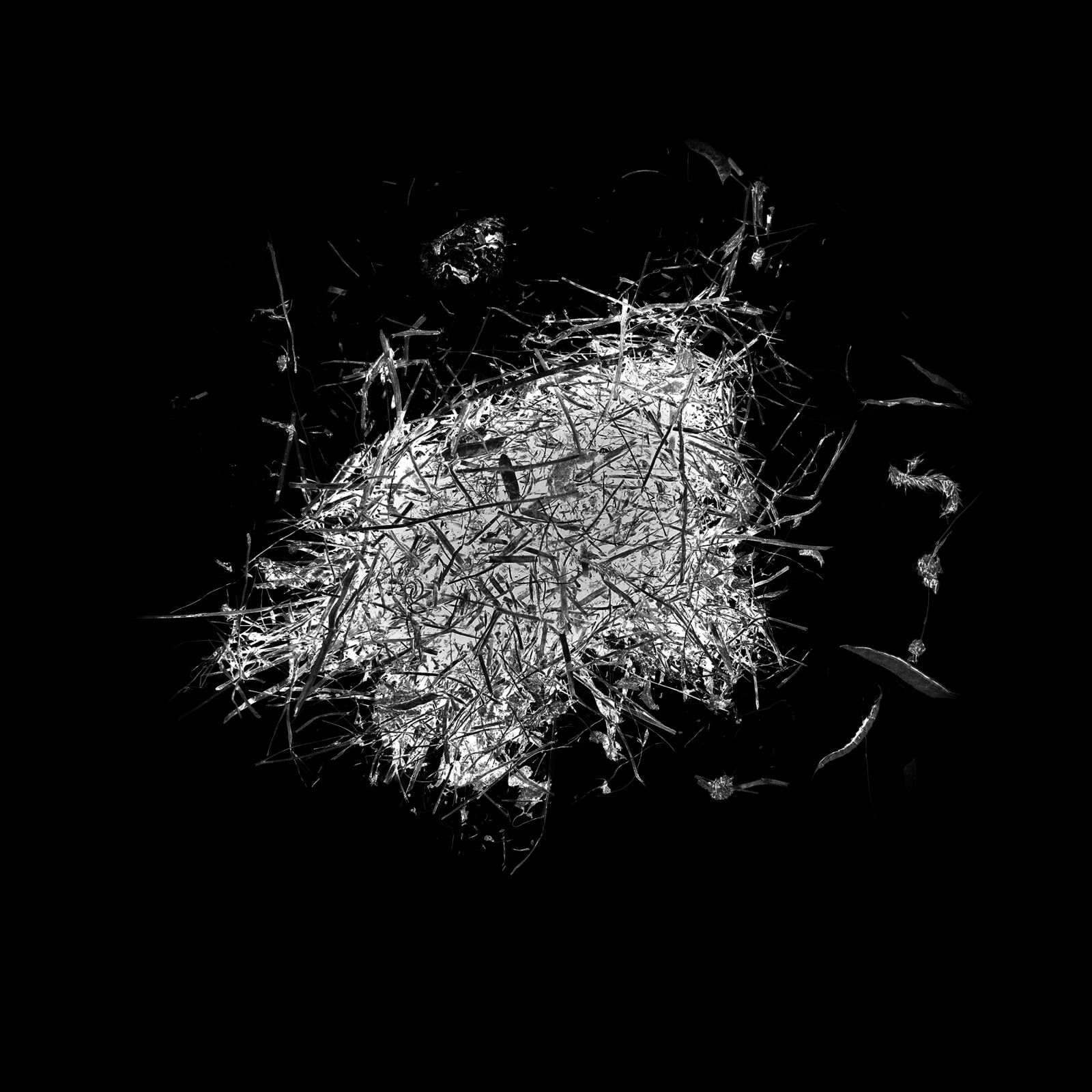 Anais Tondeur, Grass mowing, 2024