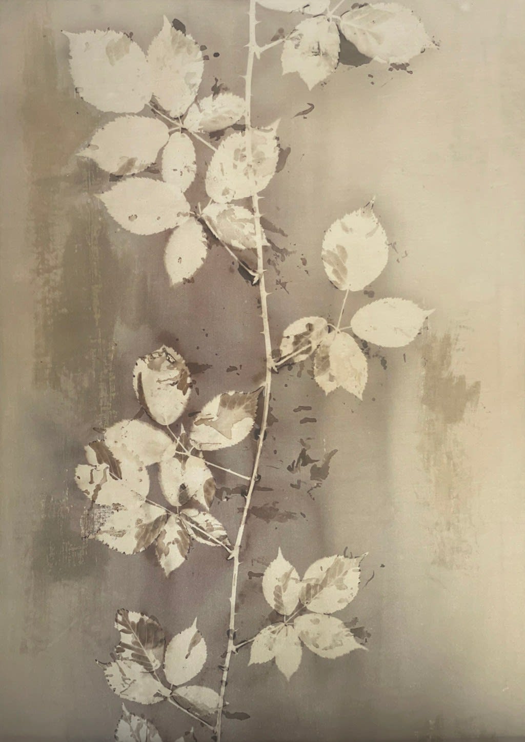 Anais Tondeur, Bramble, 2024