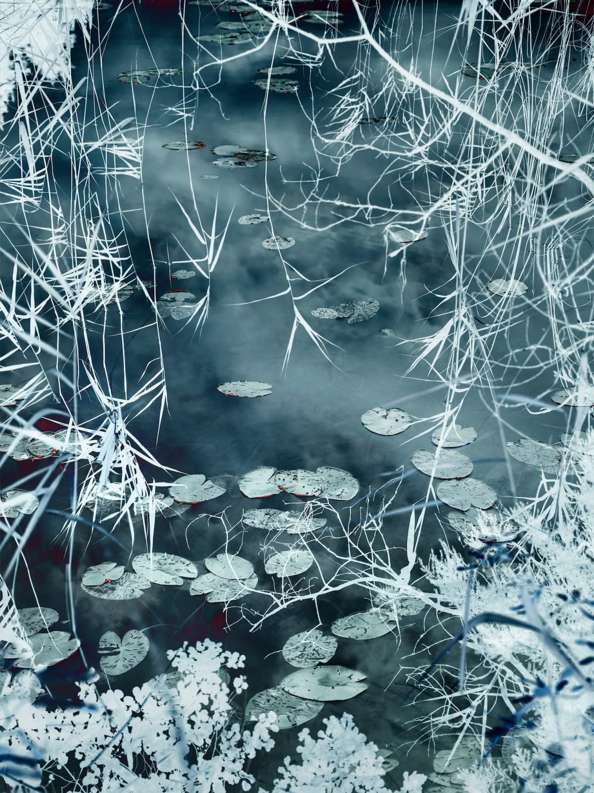 Santeri Tuori, Water Lilies 9, 2019