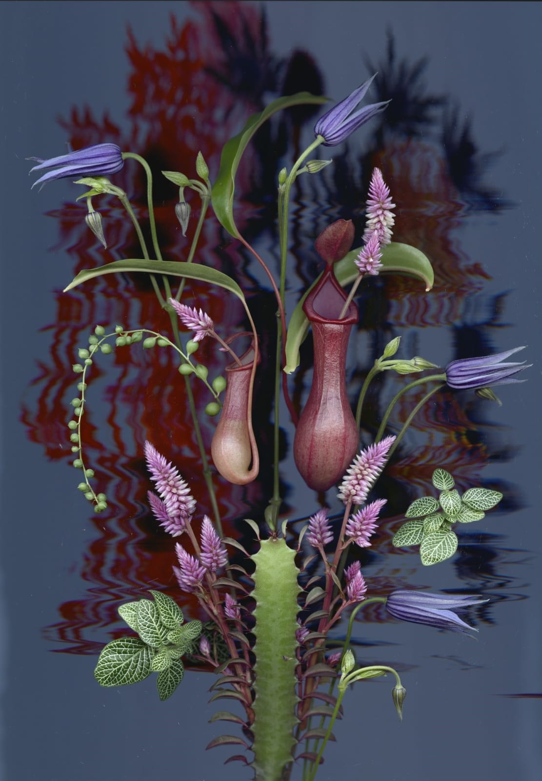 Sandra Kantanen, Distortion 1, 2023