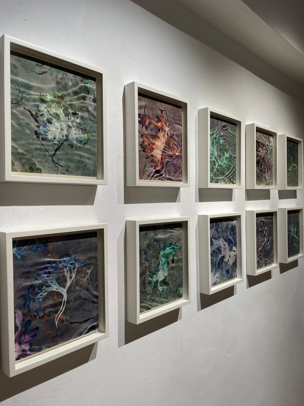 Susan Derges, Ocean Flowers Installation in Floating exhibition at Purdy Hicks Gallery, October - November 2021