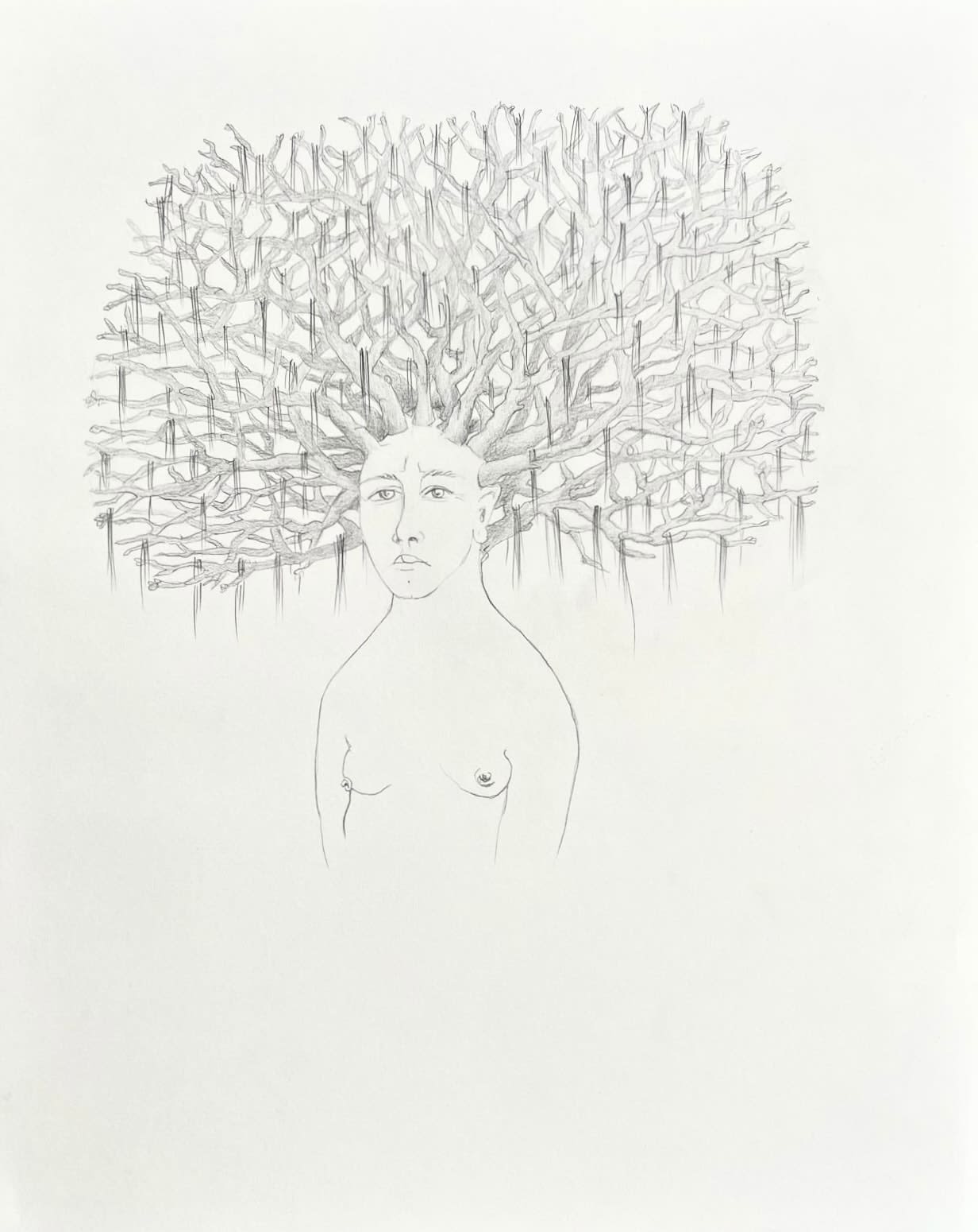 Alice Maher, Spanish Moss , 2025