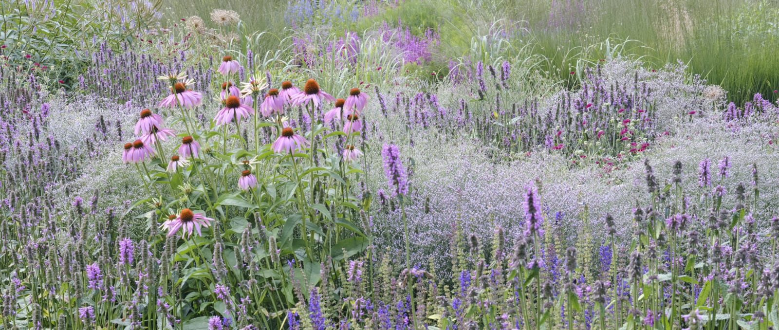 Sandra Kantanen, Meadow with bees II, 2025