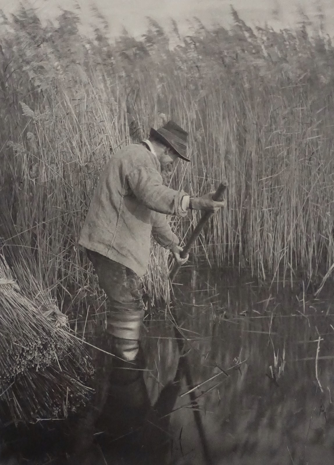 P. H. Emerson, From Life and Landscape on the Norfolk Broads, A Reed-Cutter at Work , 1886