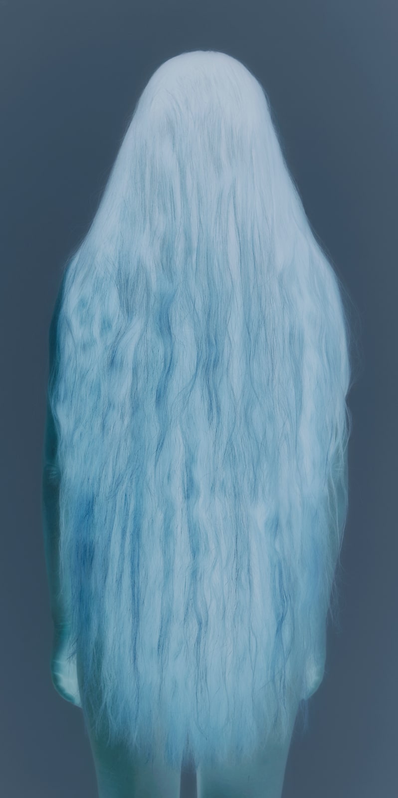 Celine Bodin, From the series The Hunt, Free (Inverted), 2018