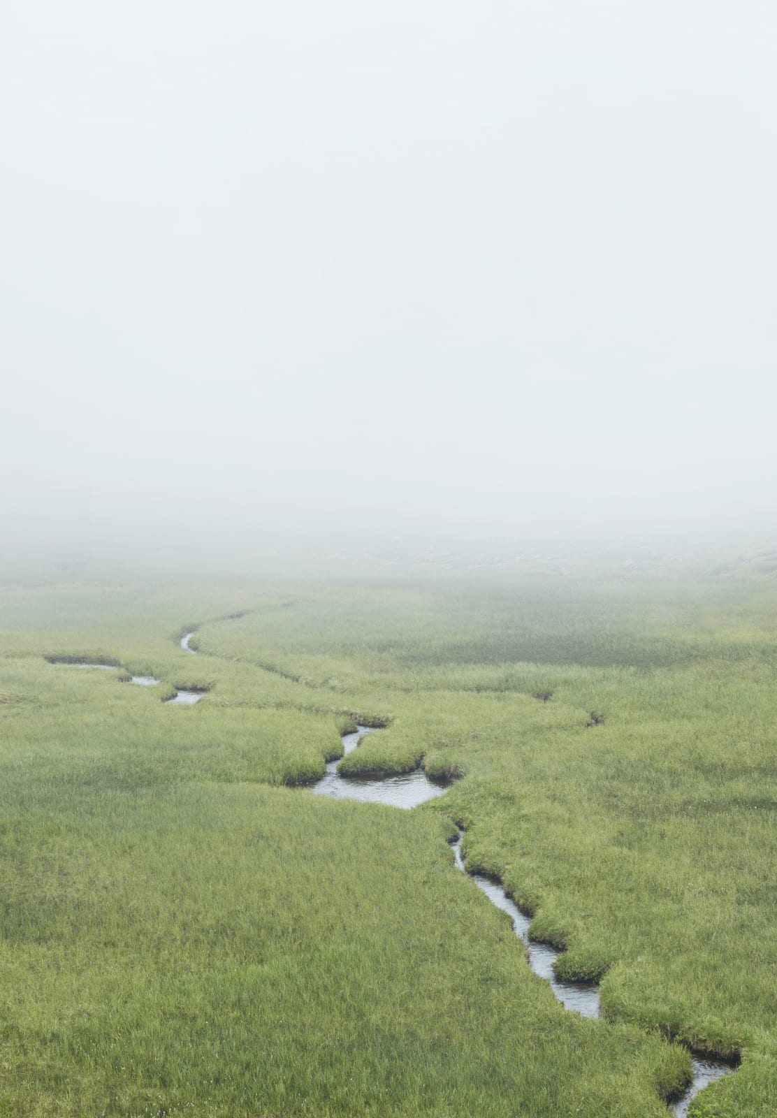 Ari Magg, Bjarnafjörður, 2017