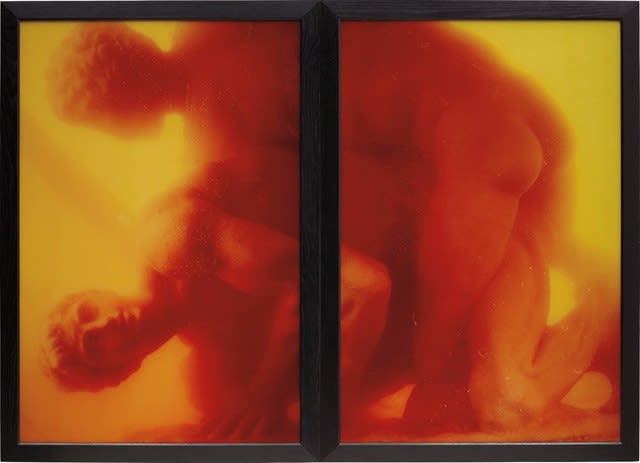 Andres Serrano, Hercules punishing Diomedes (part I and II), 1991