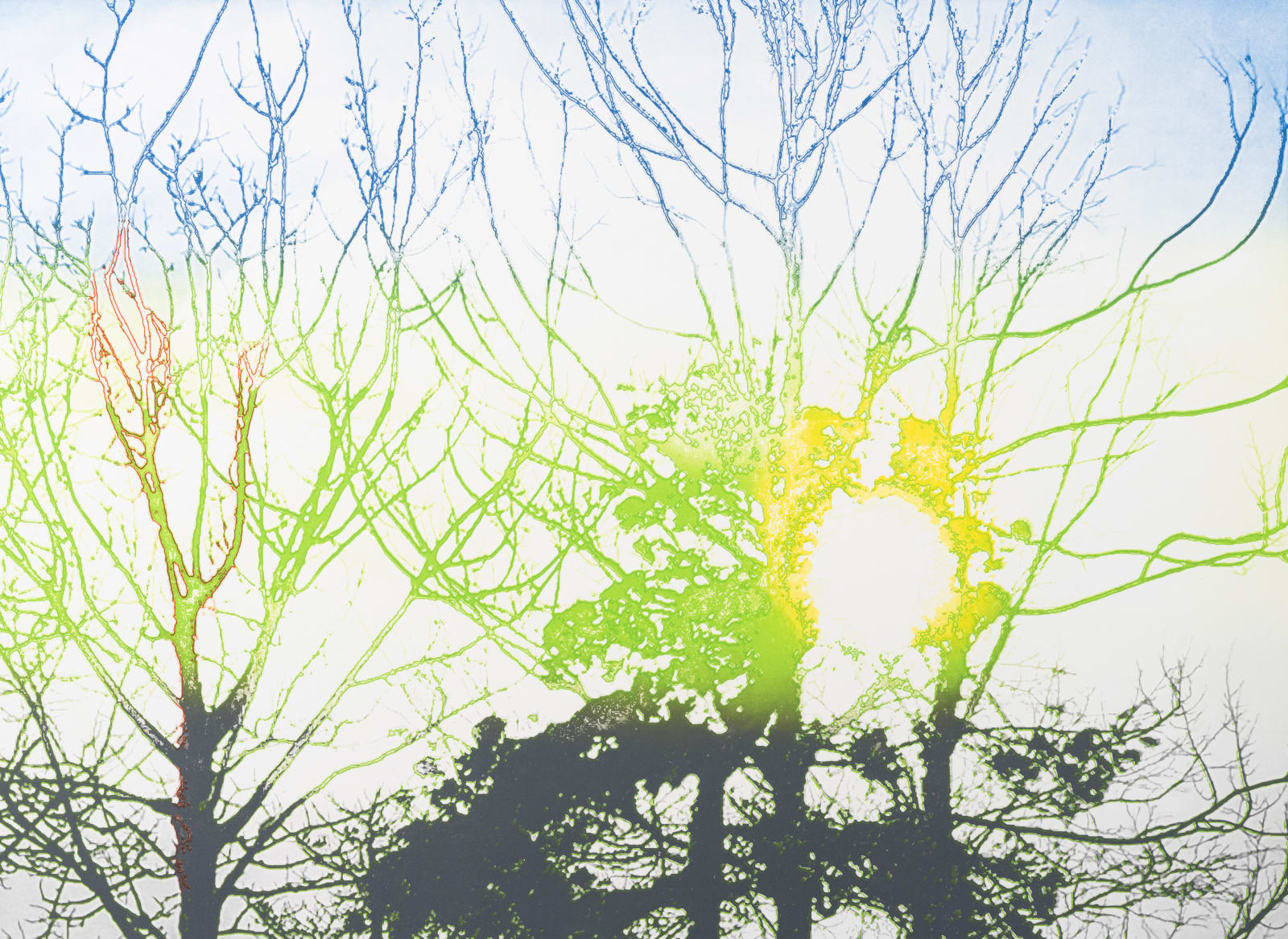 HM Queen Sonja, New Gaze, 2020