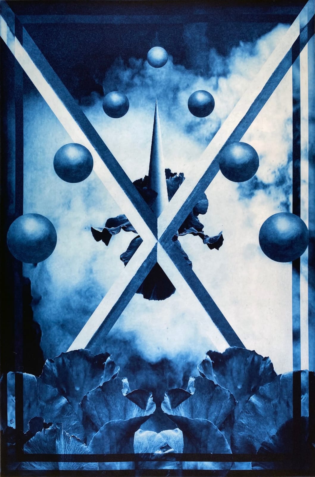 Anna Pajak, Black iris, 2021