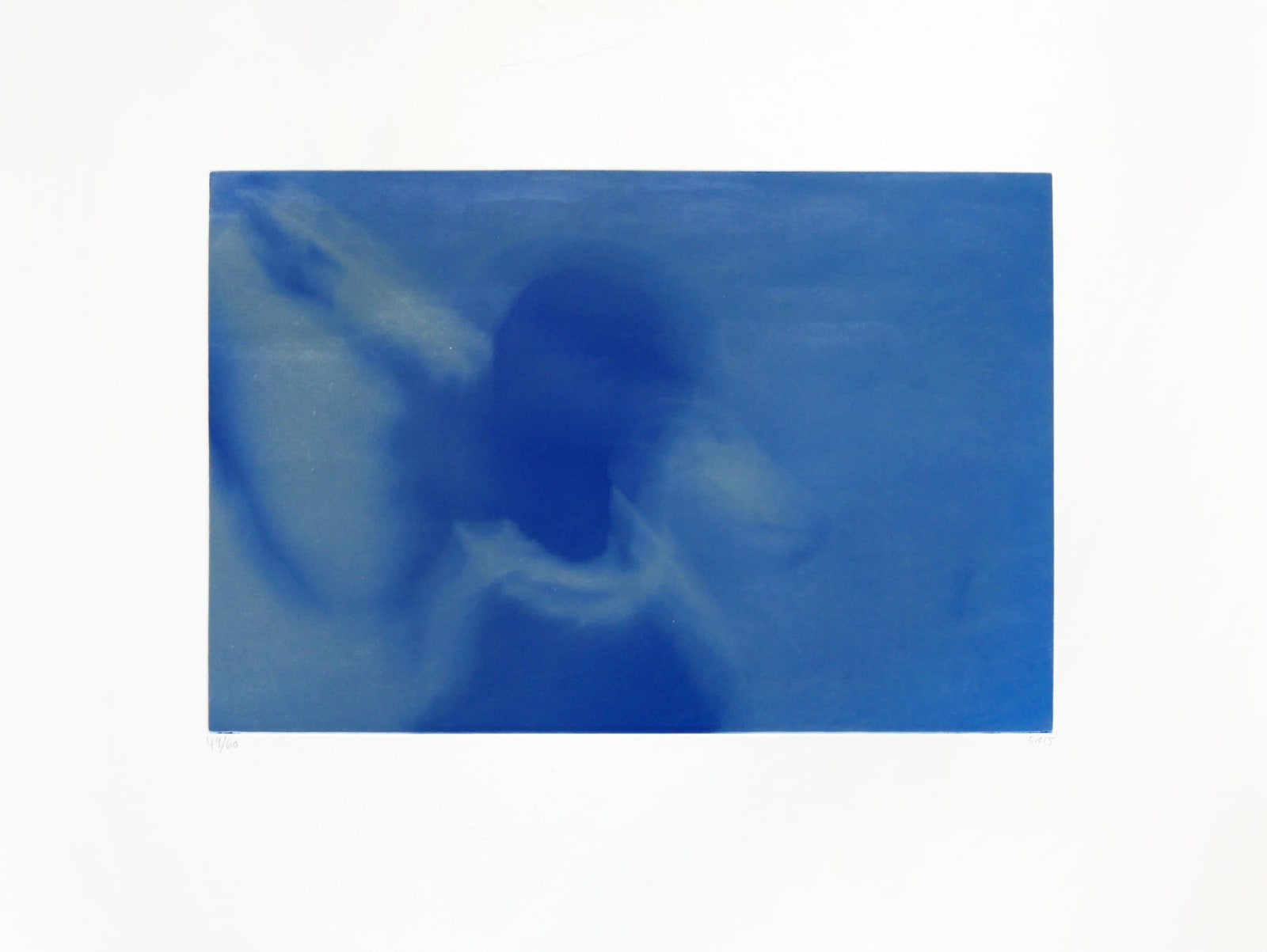 Svend-Allan Sørensen, Birds of the Faroe Islands - Mallard, 2015