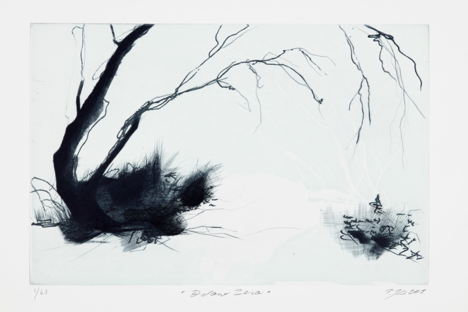 HM Queen Sonja and Tiina Kivinen, Portfolio, 2013