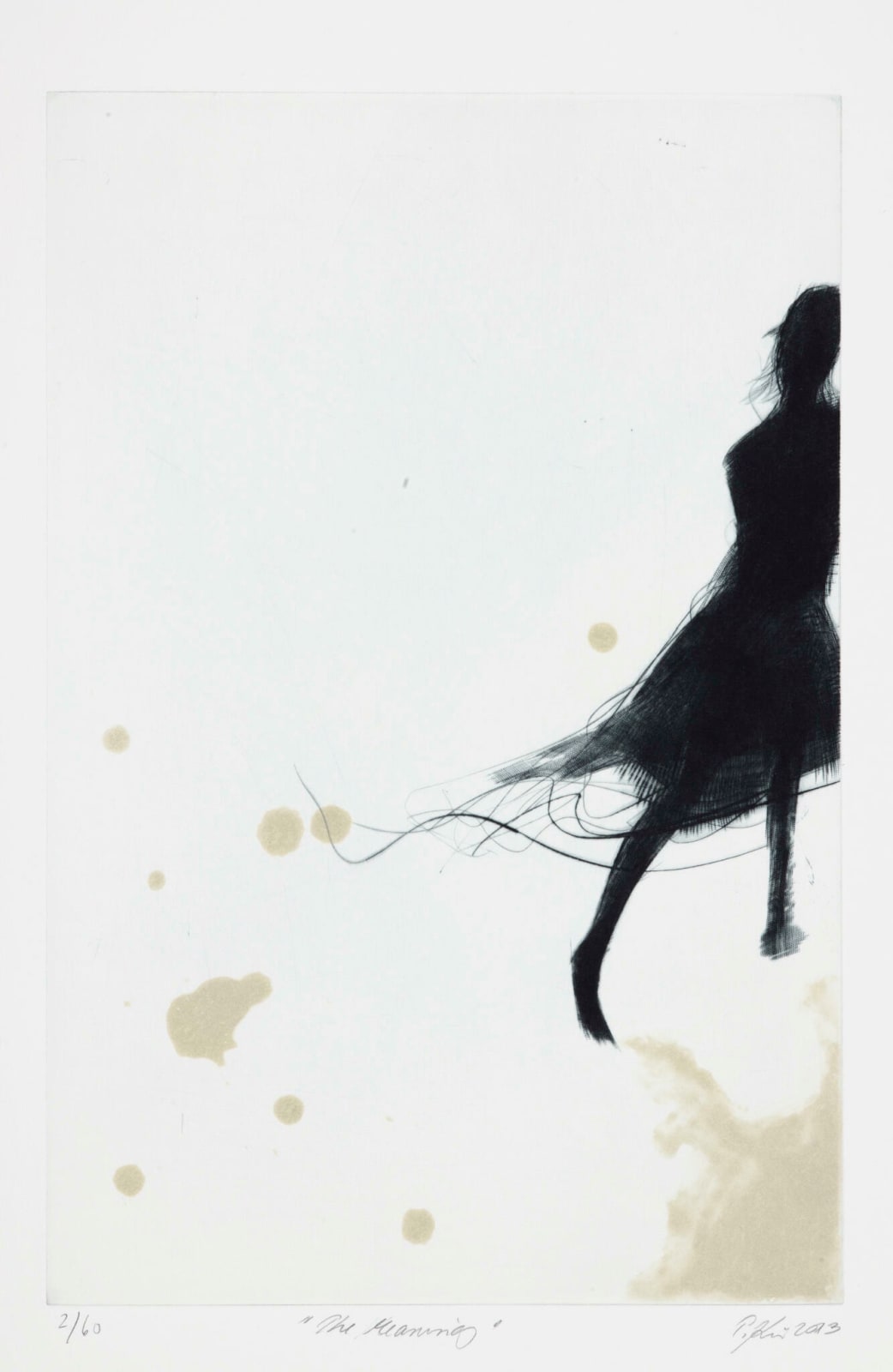 Tiina Kivinen, The Meaning, 2013