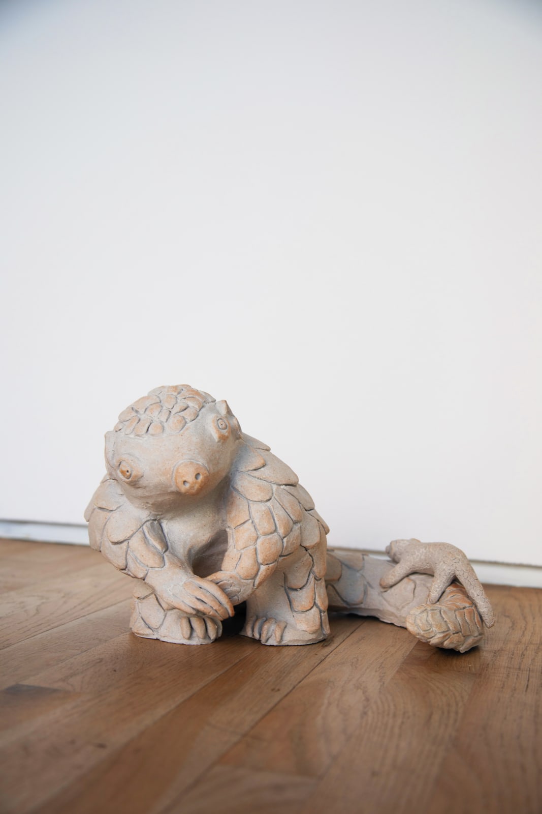 Ahn Lee, Pangolin, 2024