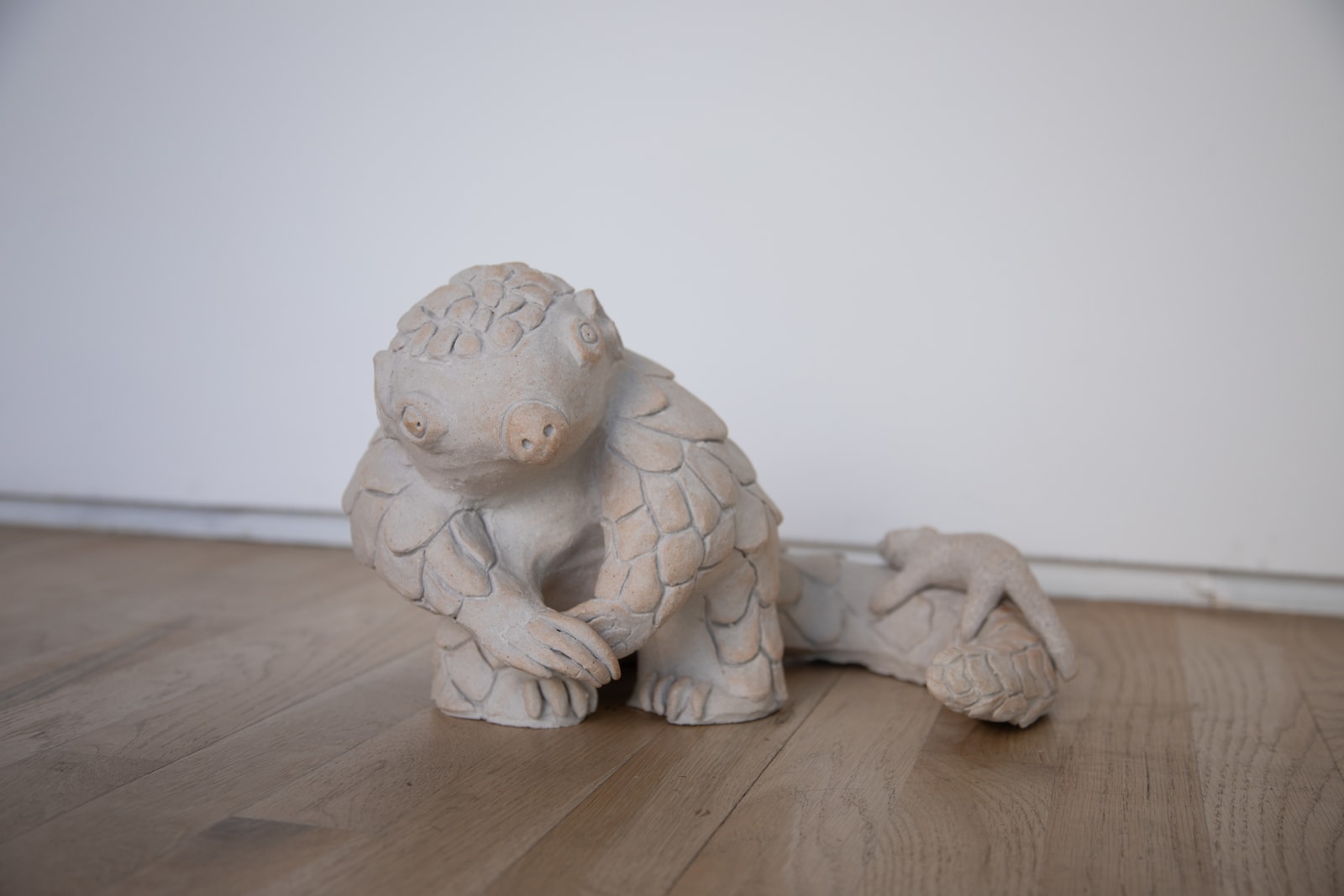 Ahn Lee, Pangolin, 2024