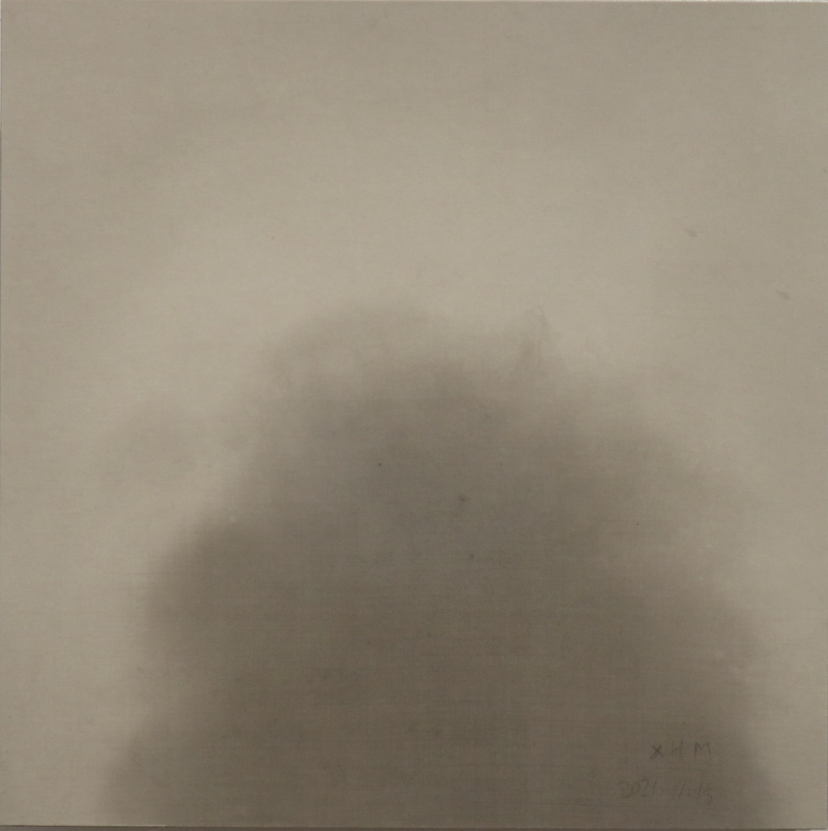 Hongming Xu, 20211115 Non-cloud Non-fog Non-QI 非云非雾非炁, 2021