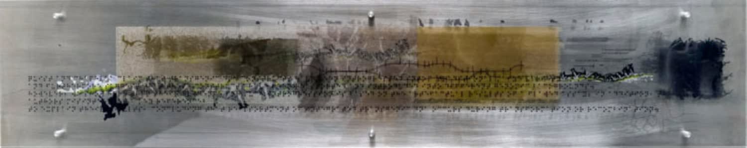 Guillermo Galindo, HPP5 (hormigopsycoticus poisonosa), 2017