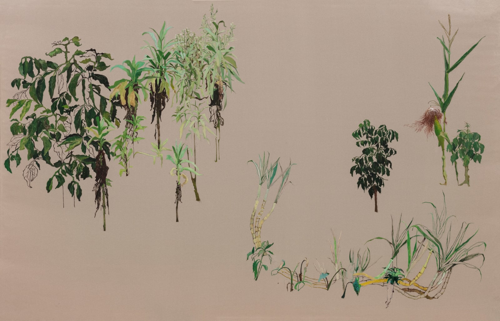 Ruijun Shen, Self-Reserved Land - Spectators, 2020