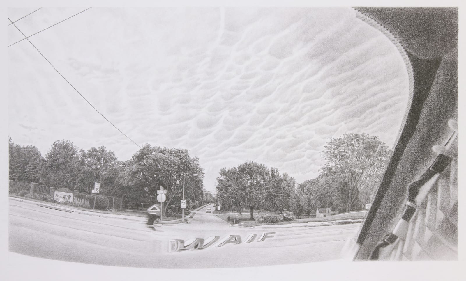 Neil Griess, Waif, 2018