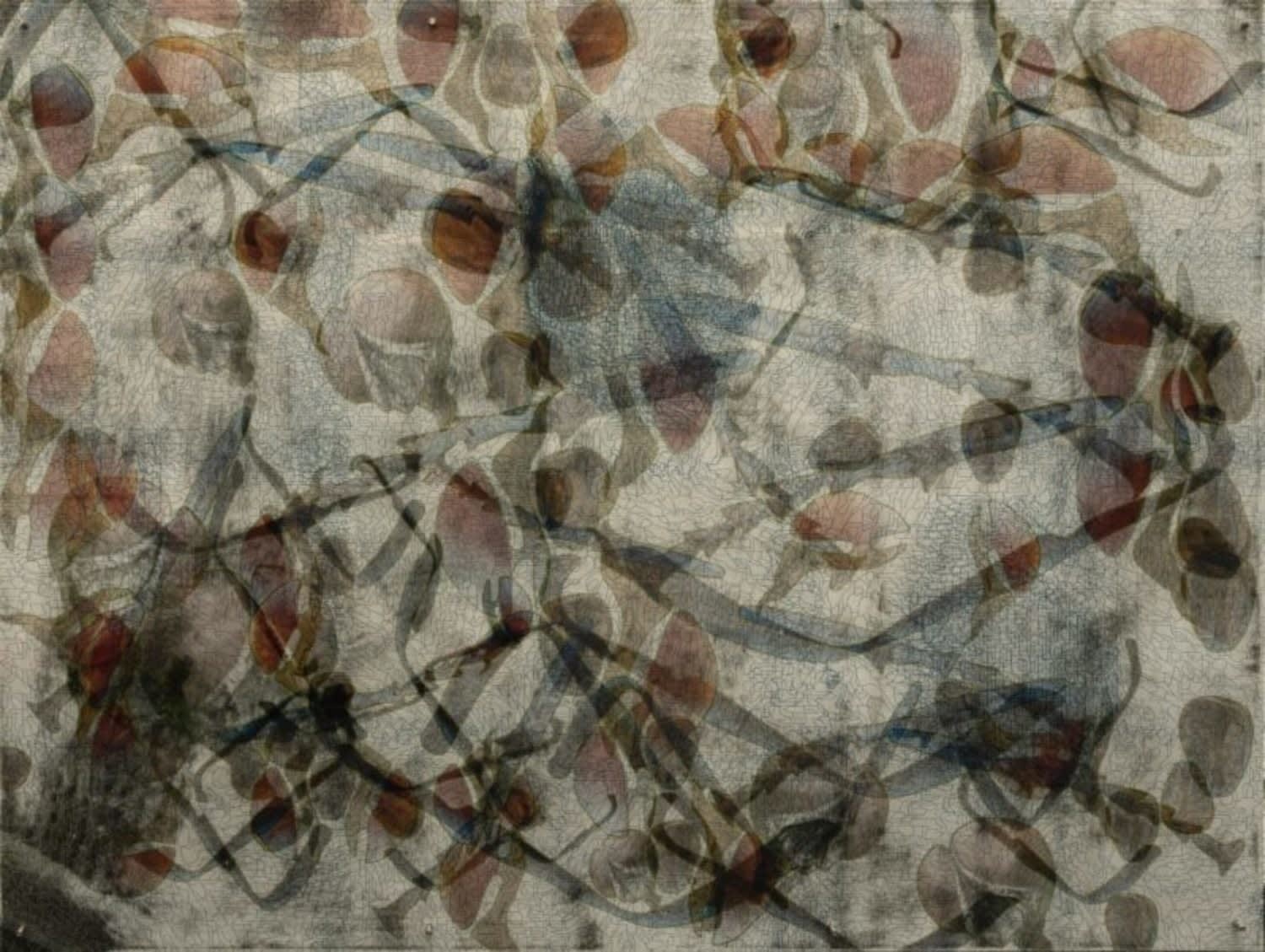 Guillermo Galindo, DIPTERA APESTOSUS, 2020