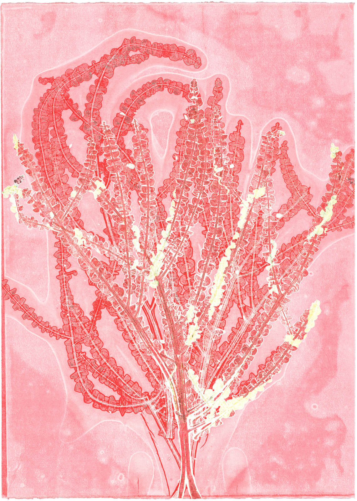 Zhenchen Liu, PANACEA (灵丹妙药) 245, 2021