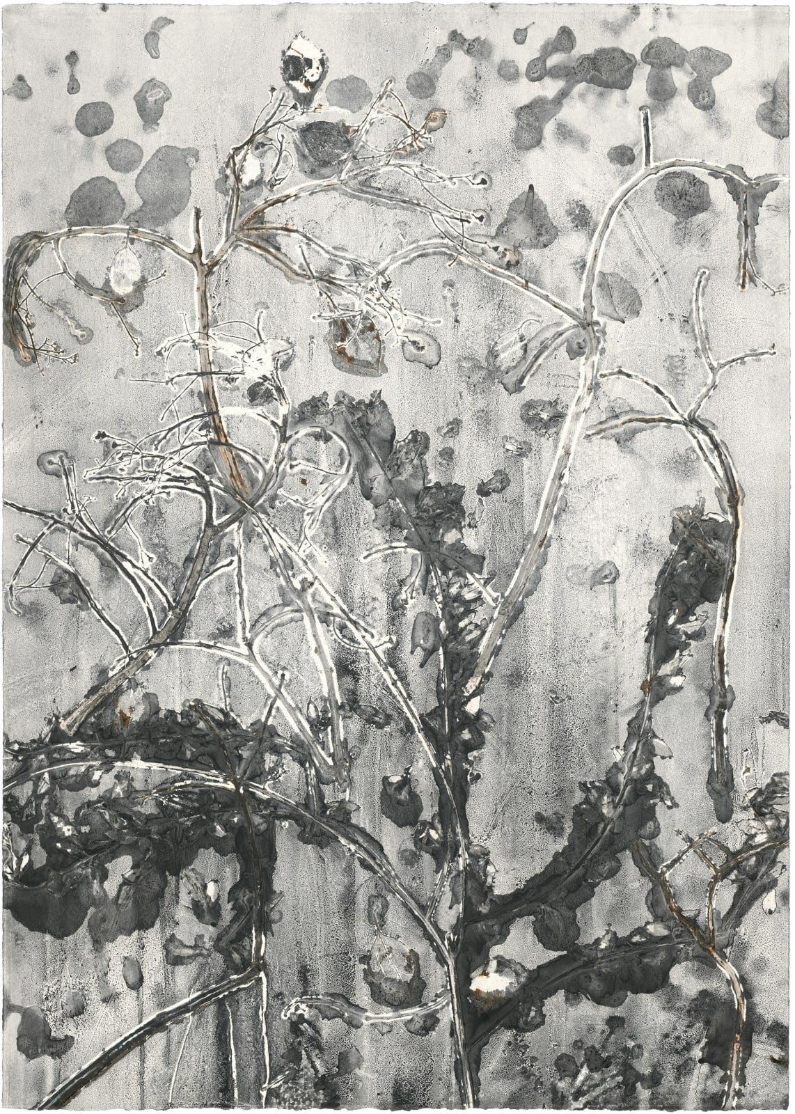 Zhenchen Liu, PANACEA 229, 2021