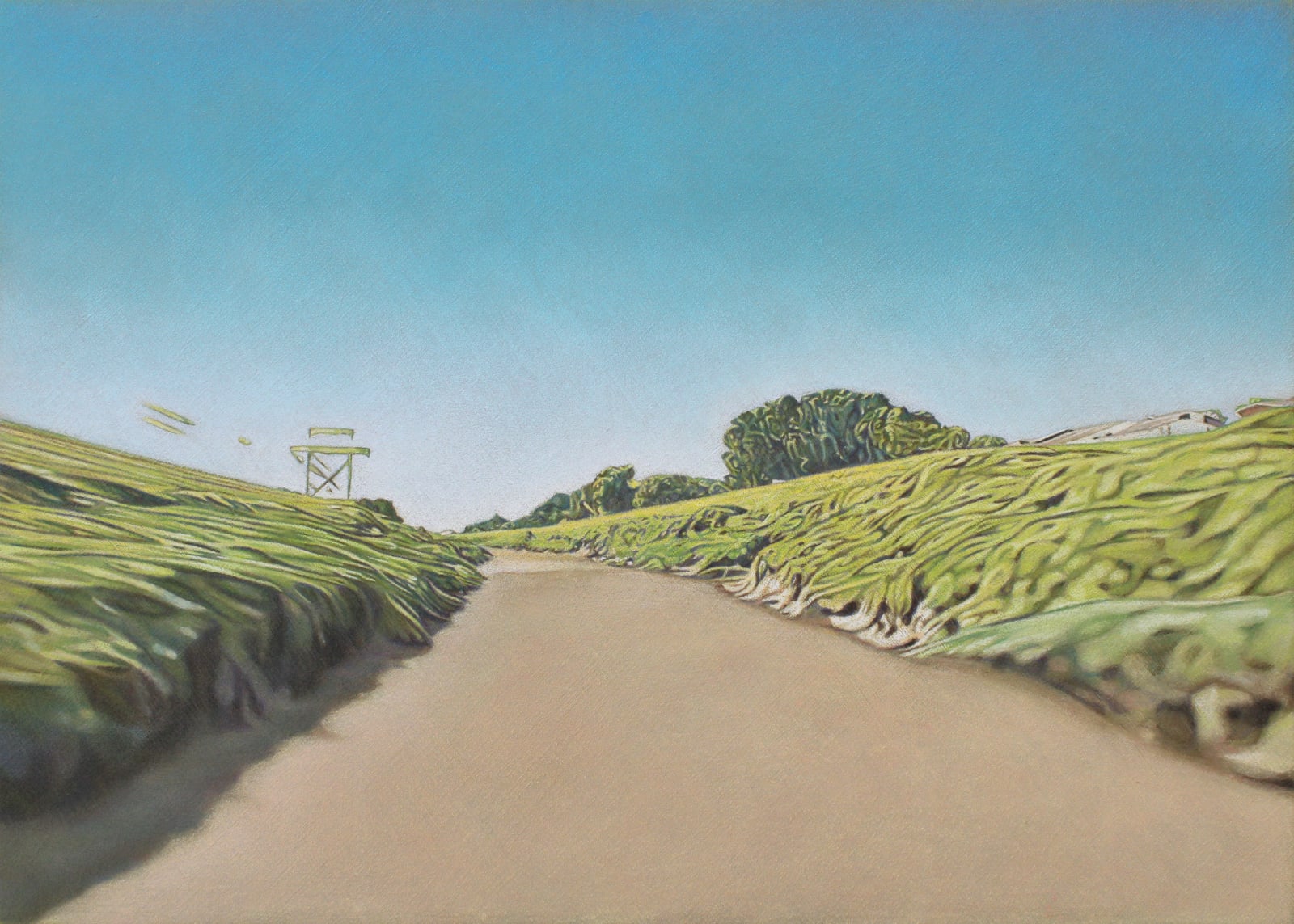 Neil Griess, Terrarium VIII (Big Papio), 2023