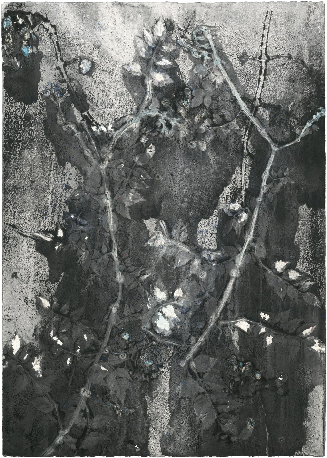 Zhenchen Liu, PANACEA (灵丹妙药) 253, 2021